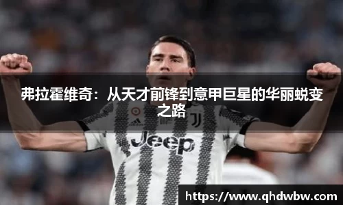 qy千亿弗拉霍维奇：从天才前锋到意甲巨星的华丽蜕变之路